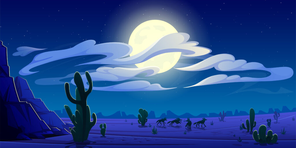 arizona night desert landscape, natural background