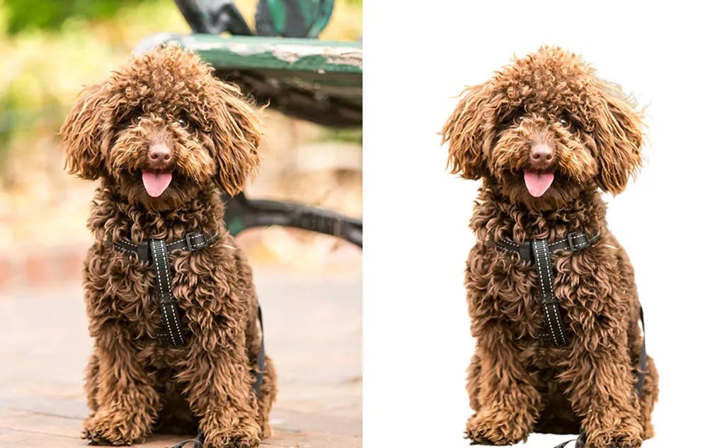 image masking 2
